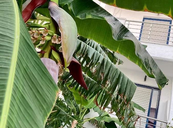 Sea Breeze 2 * ماستيخاري