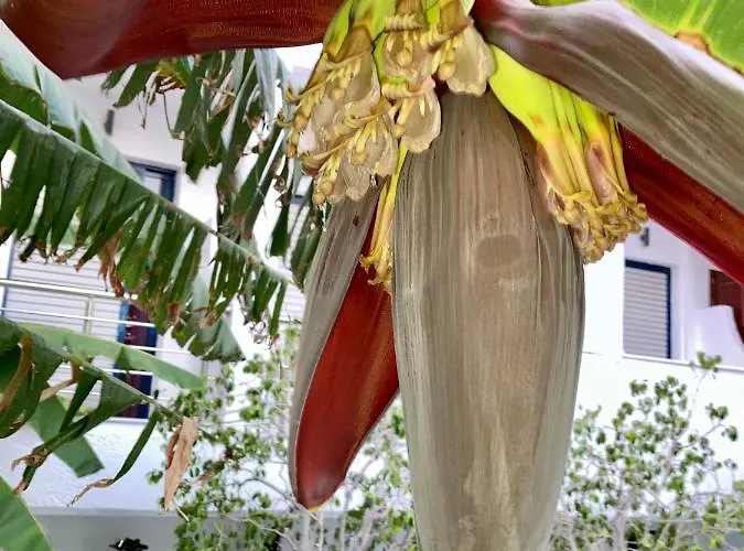 شقة Sea Breeze 2 ماستيخاري