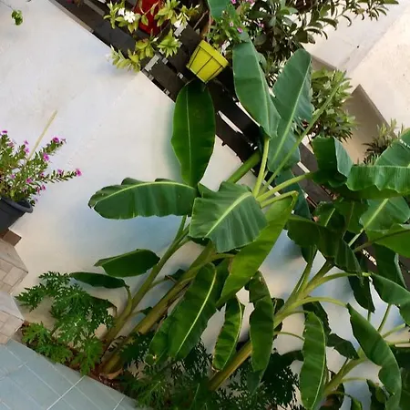 Apartment Sea Breeze 2 *