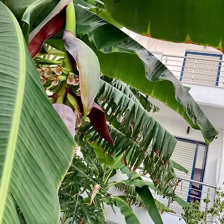 Sea Breeze 2 * Mastichari (Kos)