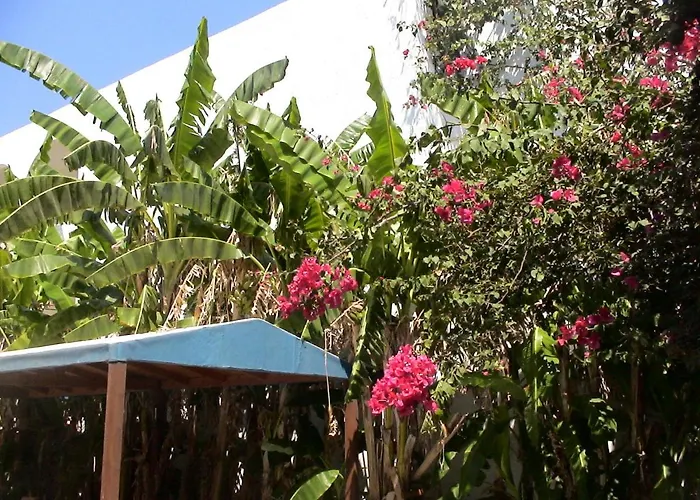 Daire Sea Breeze 2 Mastichari (Kos)