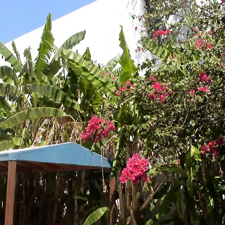 Apartment Sea Breeze 2 Mastichari (Kos)
